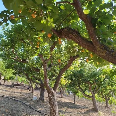 Il Vigneto: Tra Mare E Natura 2 بيت للعطل