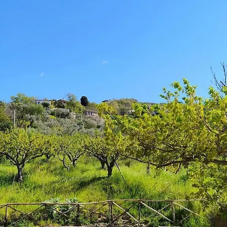 Il Vigneto: Tra Mare E Natura 2 بيت للعطل *
